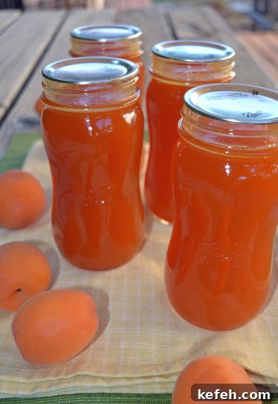 apricot syrup