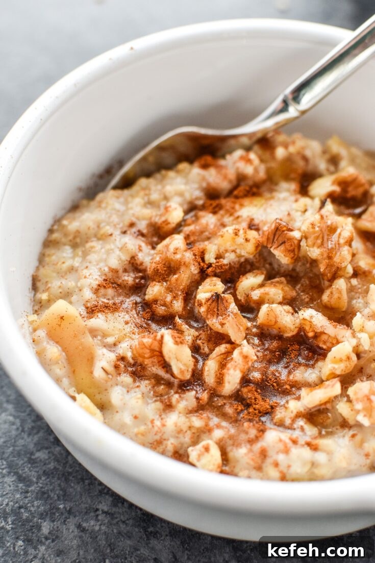 Image for Instant Pot Cinnamon Apple Steel Cut Oats
