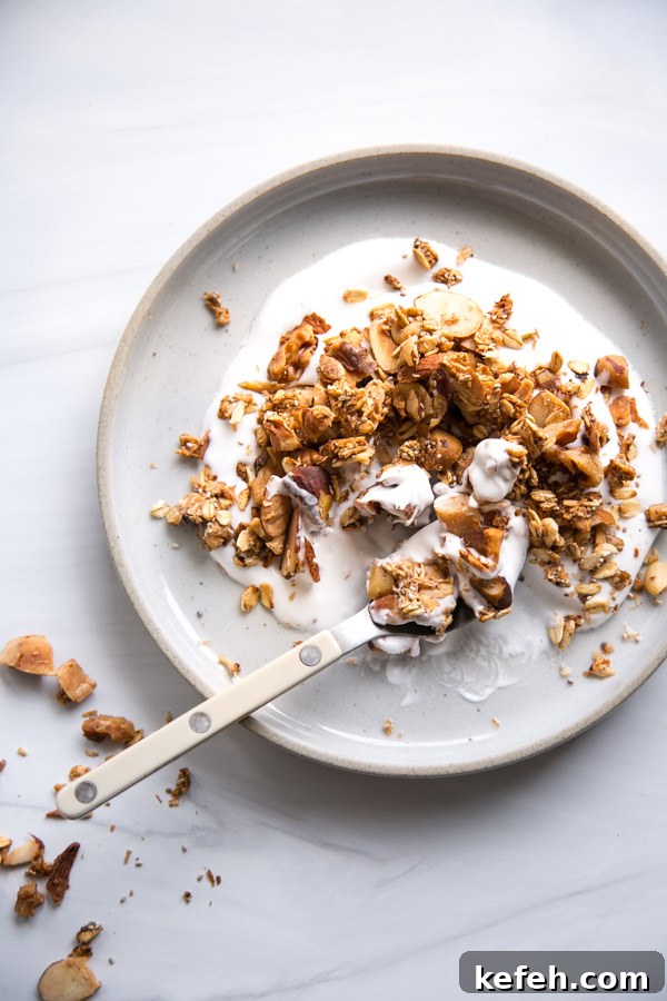gluten-free granola with no added sugar over dairy-free yogurt on a plate
