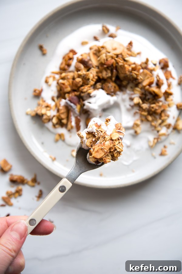 sugarless granola over yogurt on a plate with a spoon 