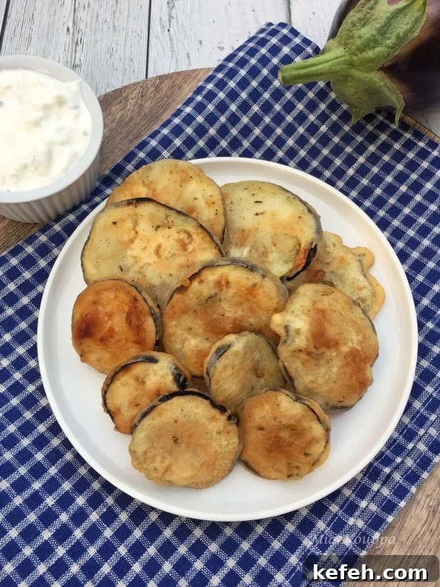 Fried eggplant chips