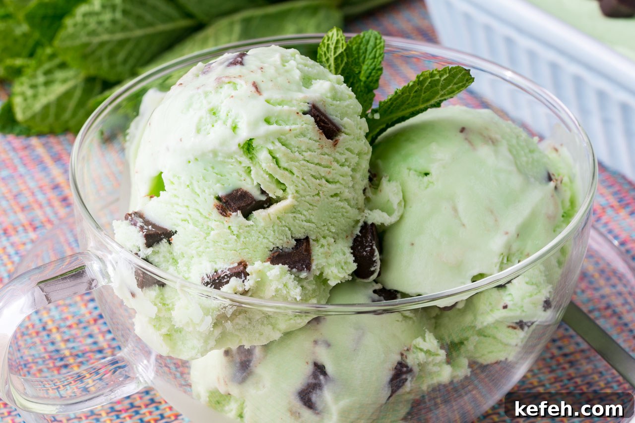 Homemade healthy mint chocolate chip ice cream in a bowl.