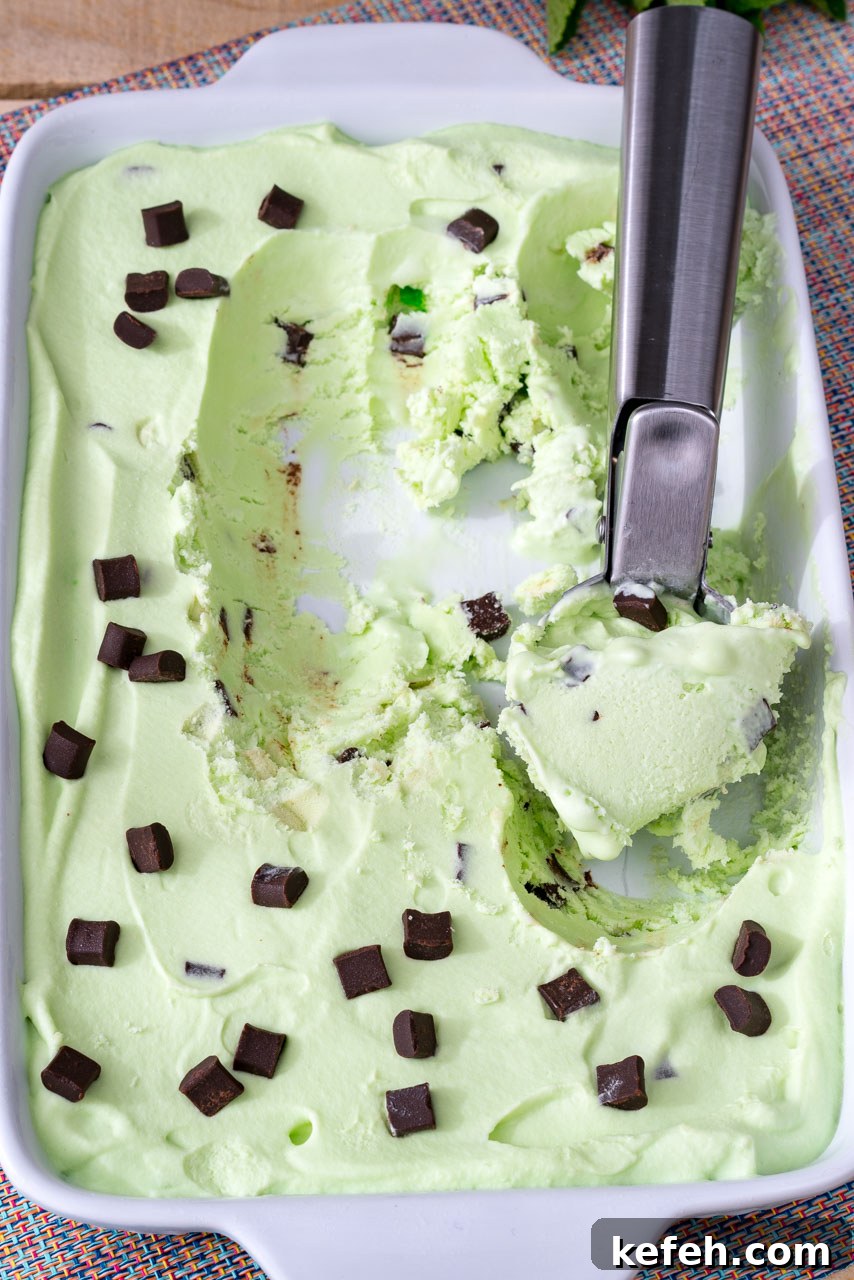 Mint chocolate chip ice cream frozen in a dish.