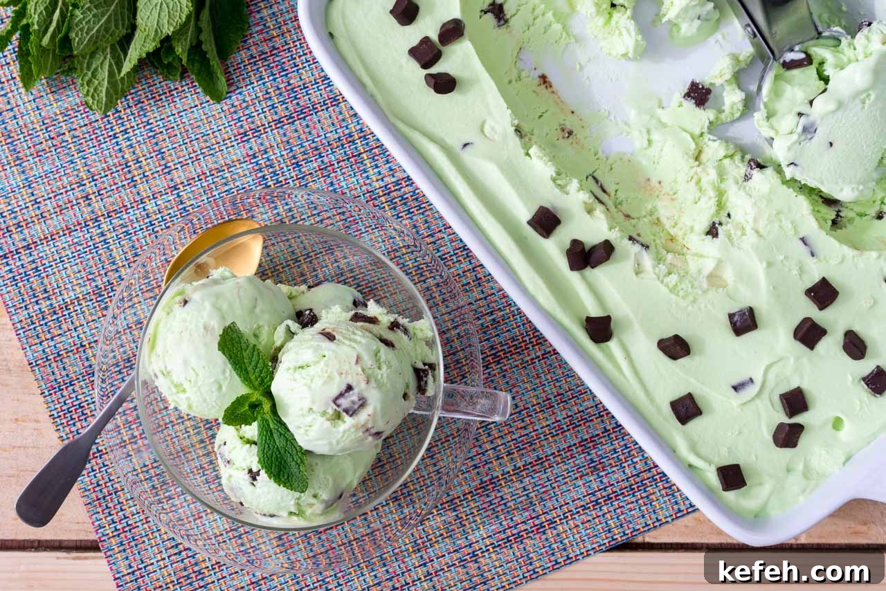 Mint chocolate chip ice cream in a bowl.