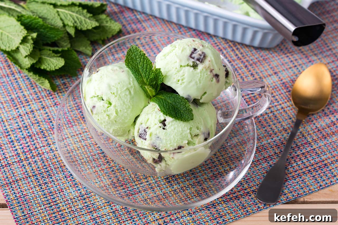 Vegan mint chocolate chip ice cream in a bowl.