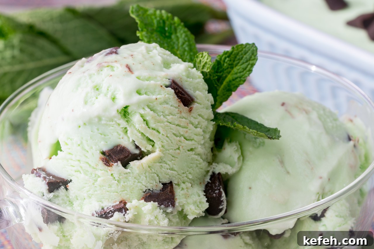Healthy mint chip ice cream in a bowl.