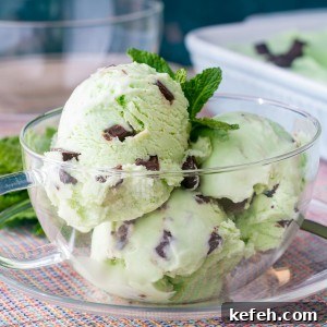 Homemade healthy mint chocolate chip ice cream in a bowl.