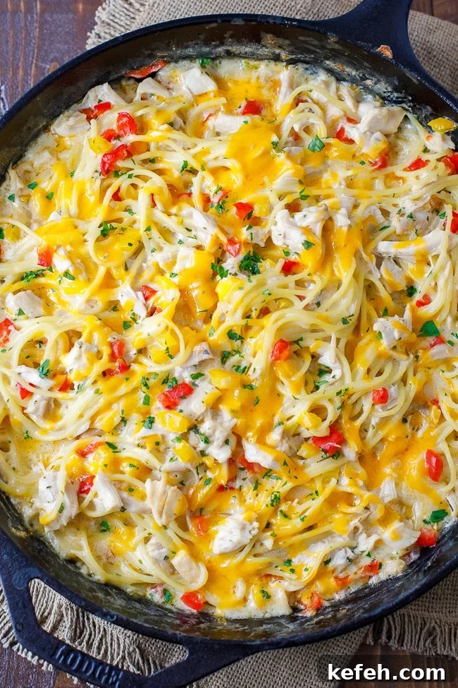 Creamy Chicken Spaghetti Casserole with Cheese and Herbs 2 Chicken Spaghetti Recipe