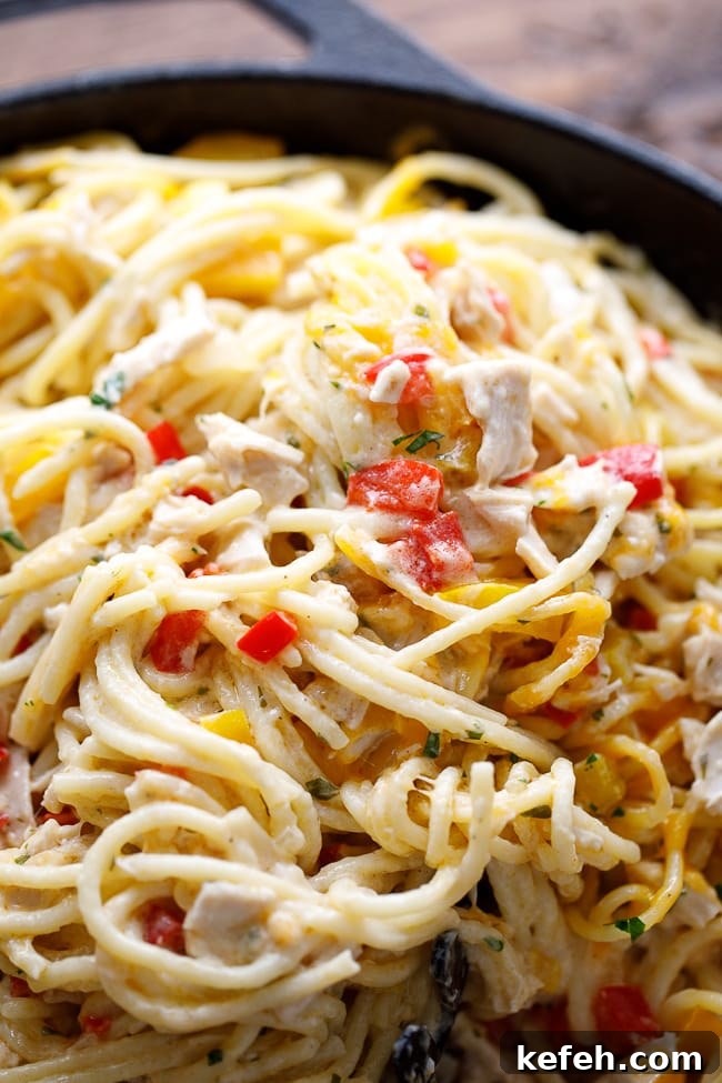 Creamy Chicken Spaghetti Casserole with Cheese and Herbs 3 Spaghetti Chicken Bake