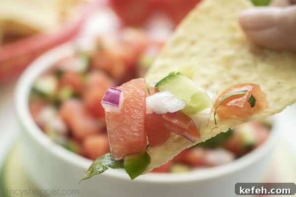 Fresh Salsa with Watermelon on a chip