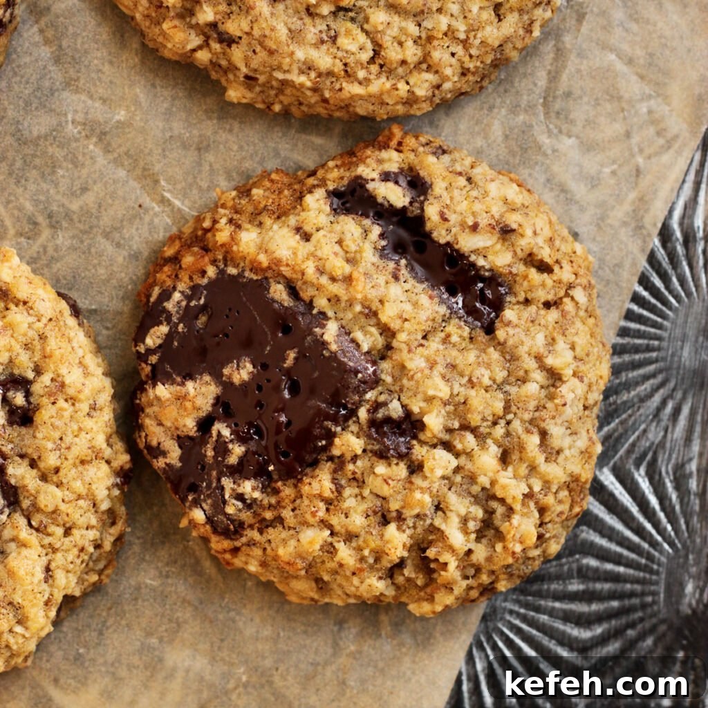 Lactation Cookie Recipe for Nursing Moms — Boost Milk Supply 5 best lactation cookie recipe