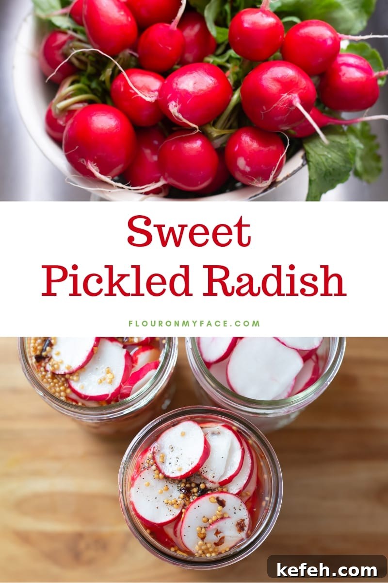 What’s in Season in February: Fresh Produce Guide 11 Sweet Pickled Radish recipe