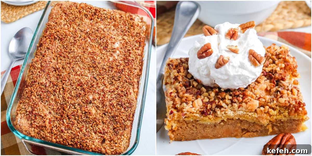 Baked dump cake in glass dish with golden brown pecan topping. Square of sweet potato dump cake on a white plate topped with whipped cream and pecans.
