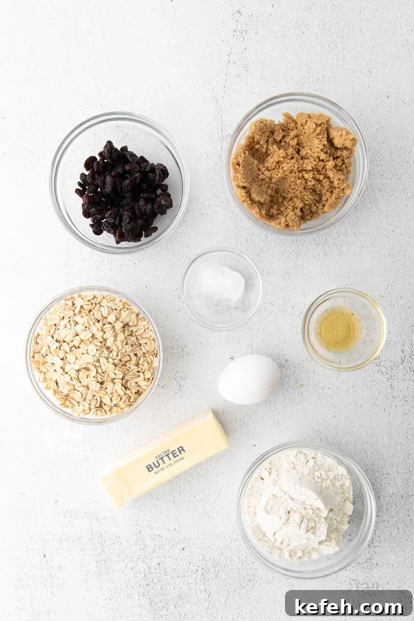 overhead shot of ingredients to make gluten free oatmeal raisin cookies