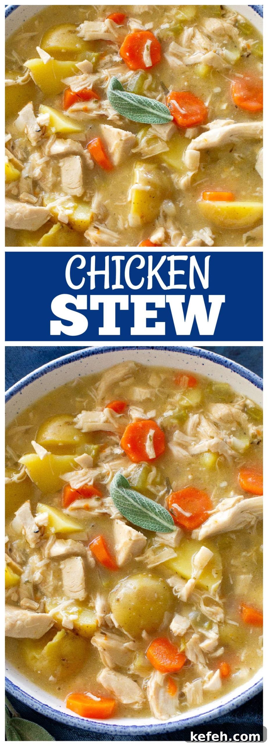 Chicken Stew
