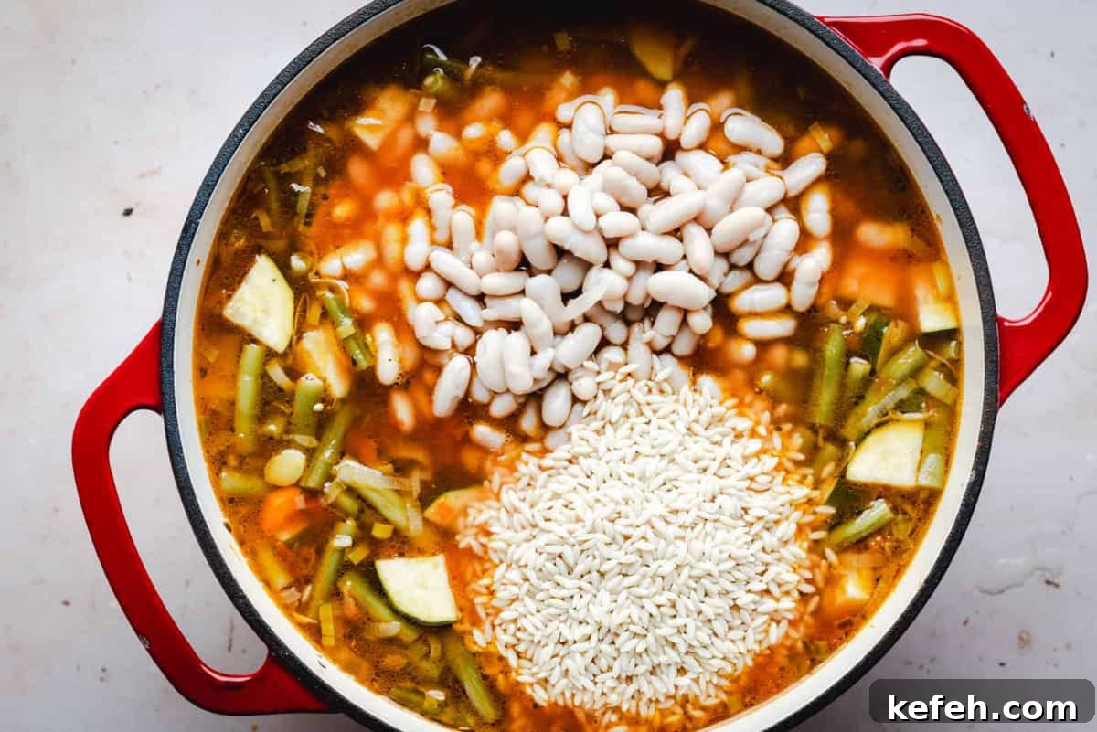 Classic French Pistou Soup Recipe: Provençal Vegetable Stew with Basil 12 adding beans and orzo pasta to soup.