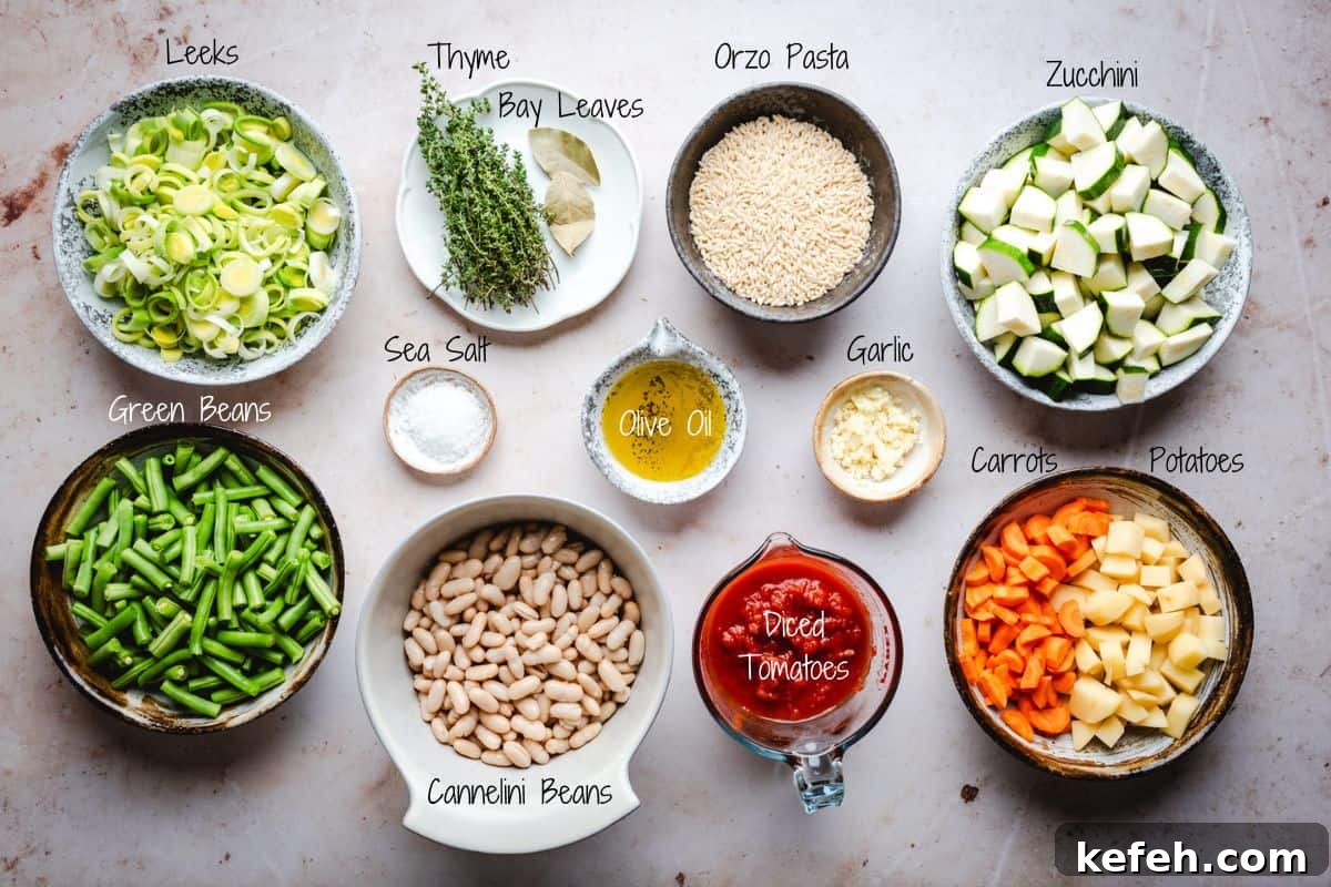 Classic French Pistou Soup Recipe: Provençal Vegetable Stew with Basil 3 Soupe au Pistou Ingredients on a granite surface.