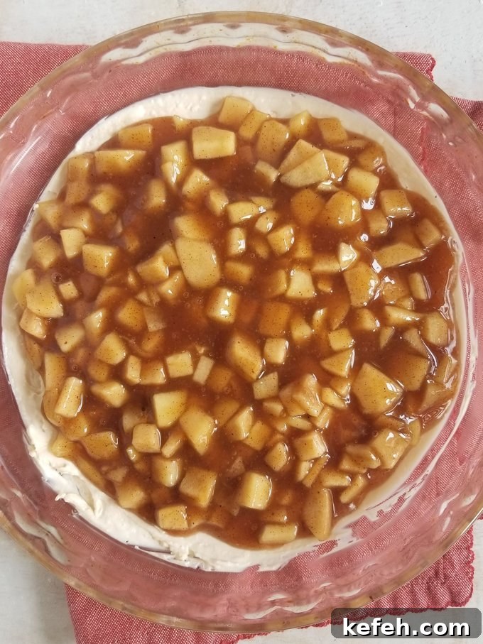Caramel Apple Pie Dip Recipe — Warm Apple Dip for Fall Gatherings 7 img 4245 12