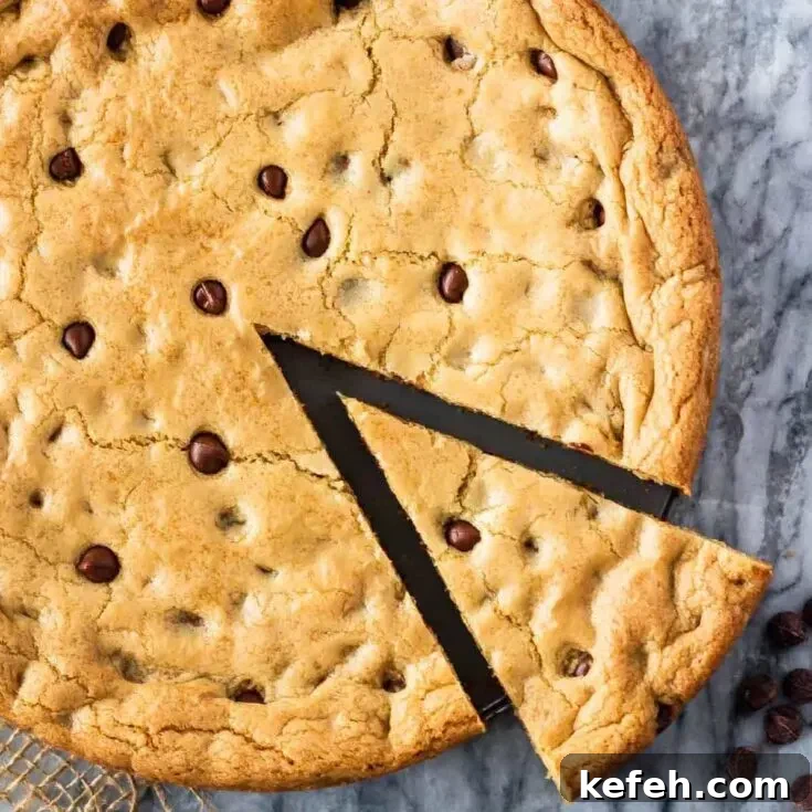 Giant Chocolate Chip Cookie