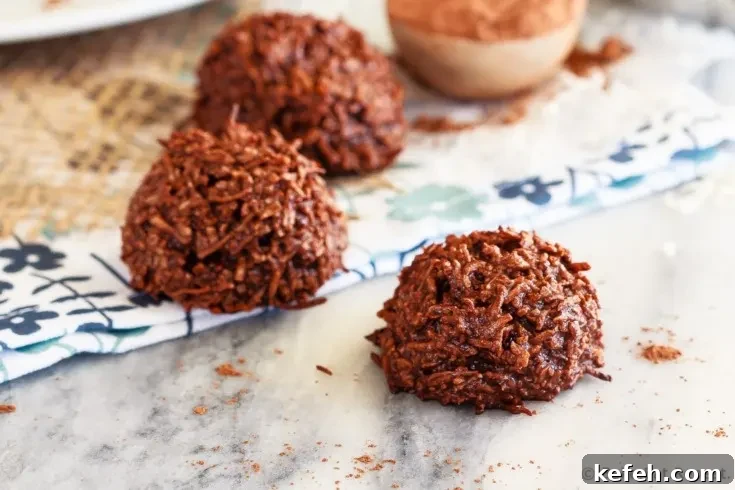 Chocolate Coconut Macaroons