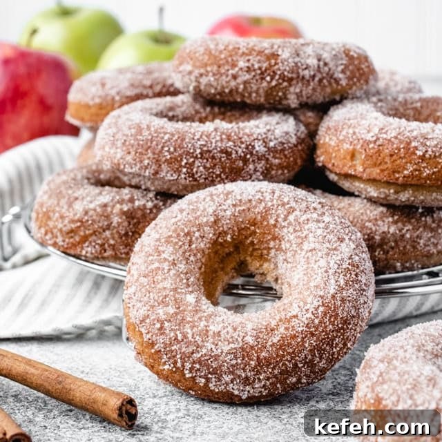 Freshly baked apple cider donuts topped with cinnamon sugar
