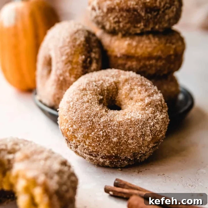 Enjoy these baked pumpkin donuts for breakfast