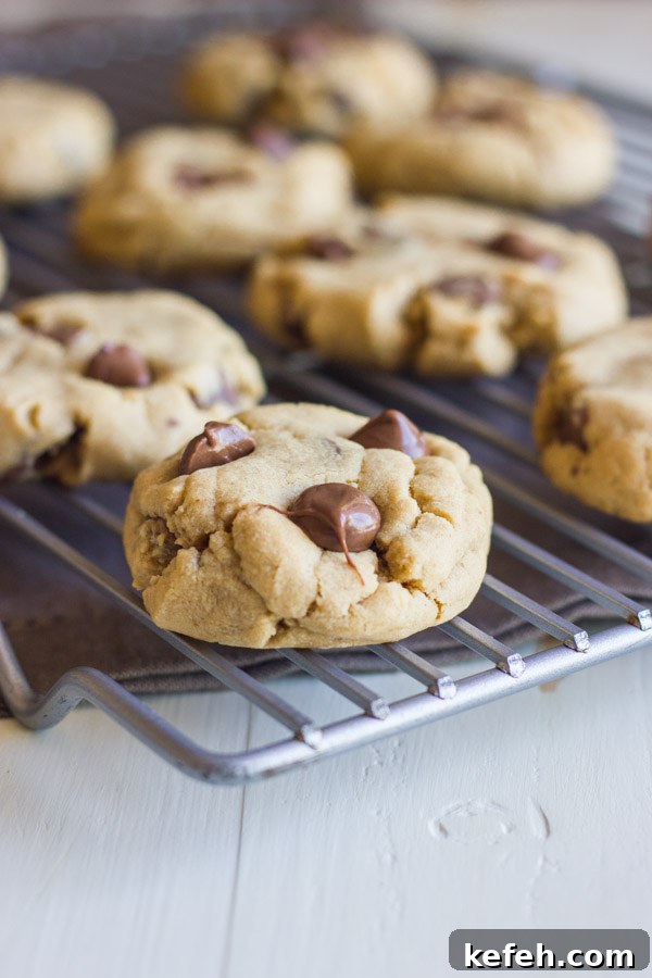 Peanut Butter Cookies with Chocolate-Peanut Butter Filled Chips 2 Peanut Butter Cookies With Peanut Butter Filled Chocolate Chips on a cooling rack.
