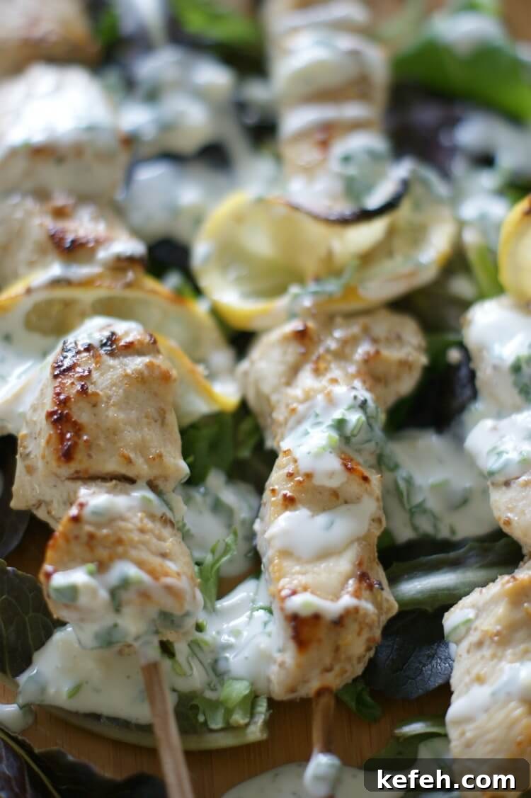 Coriander Chicken Kebabs with Cilantro Kefir Sauce (Low-Carb GAPS) 7 Coriander Chicken Kebabs with Cilantro Kefir Sauce - Tender and juicy, these oven-baked Coriander Chicken Kebabs are perfect on a bed of rice (or greens for low-carb) and topped with Cilantro Kefir Sauce for extra probiotics and flavor. Gluten Free | Primal | Cultured | GAPS diet