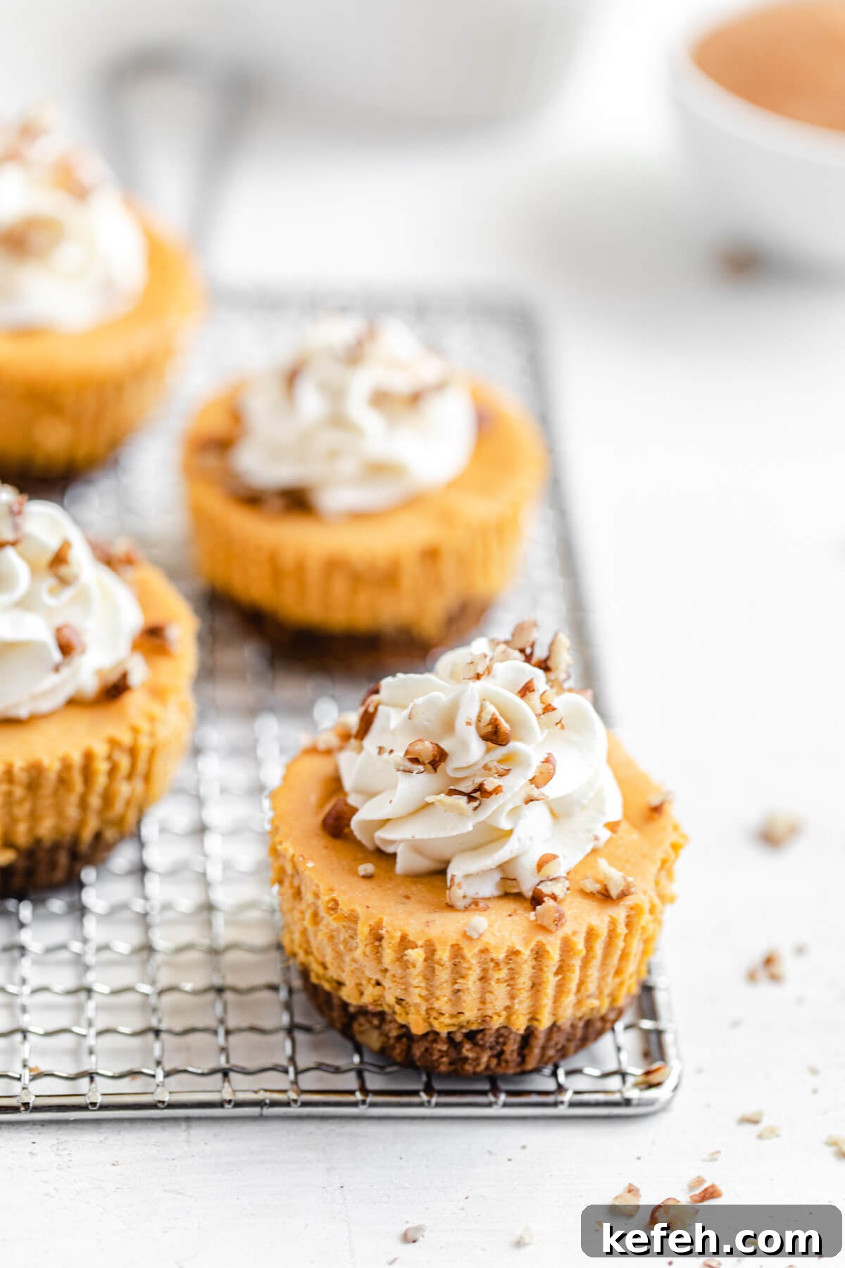 mini cheesecakes on a wire safety grater