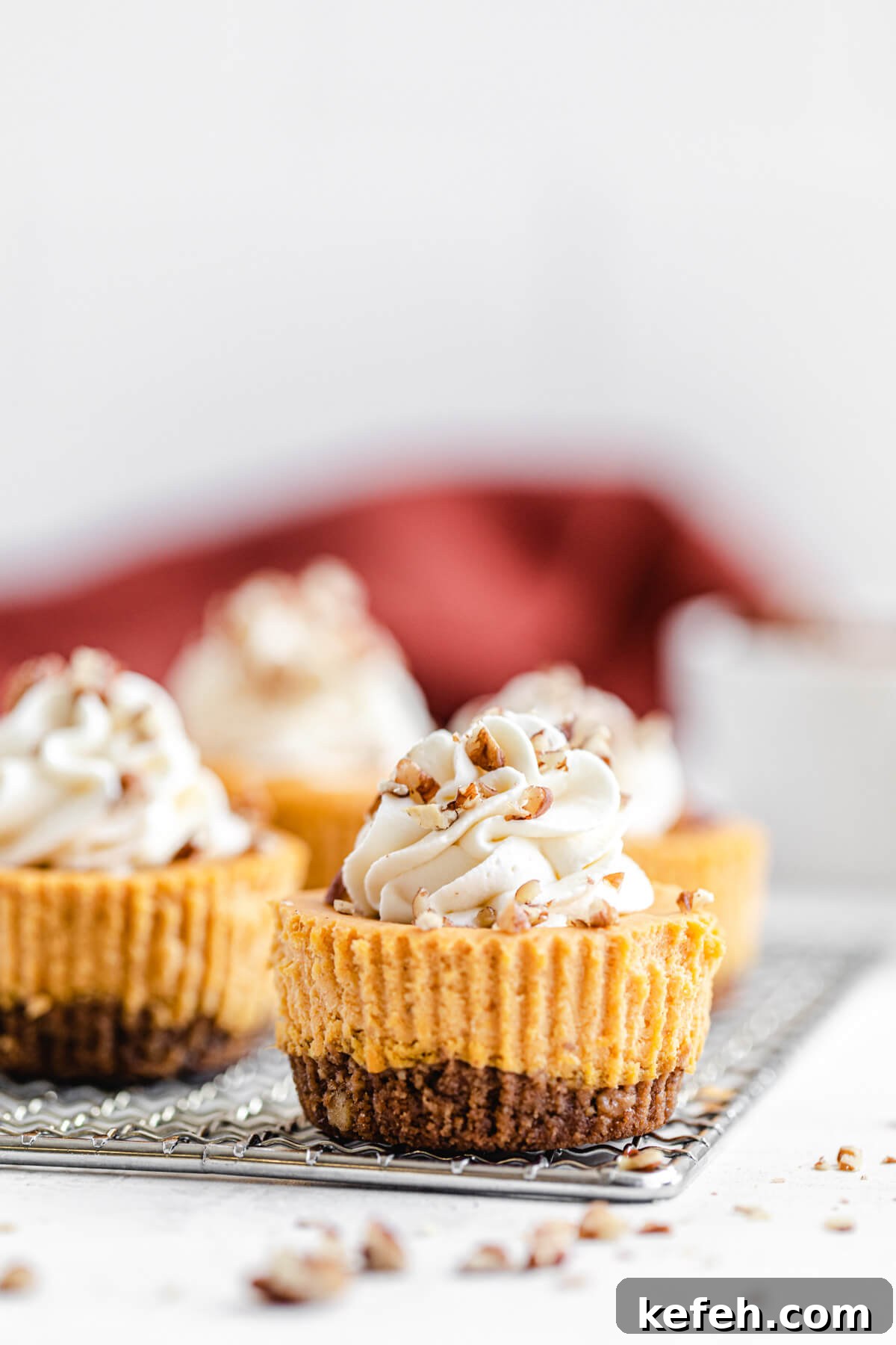mini cheesecakes on a safety grater