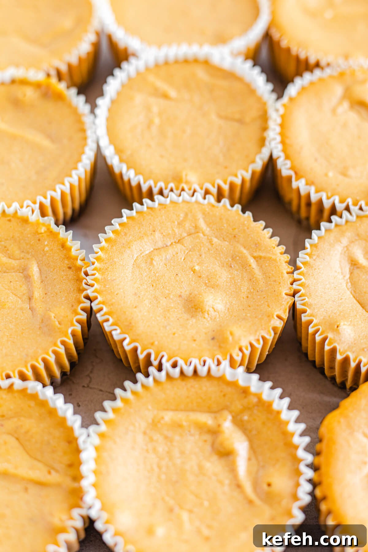 close up rows of plain mini cheesecakes