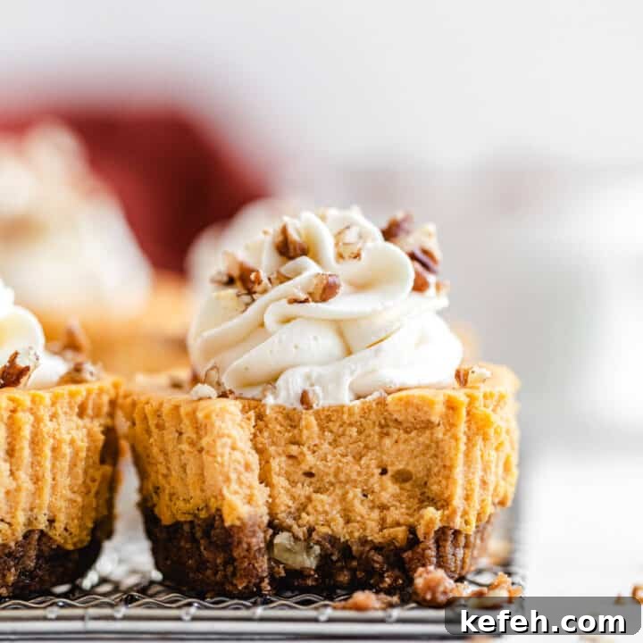 close up of mini cheesecake with bite taken out of it