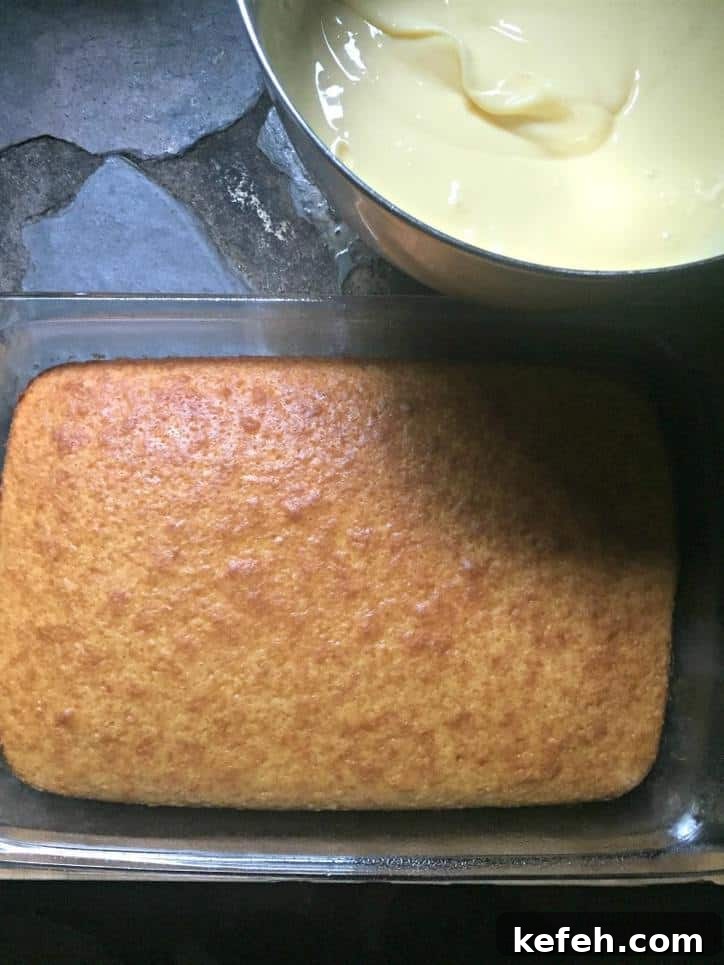 overhead shot of baked cake and prepared pudding
