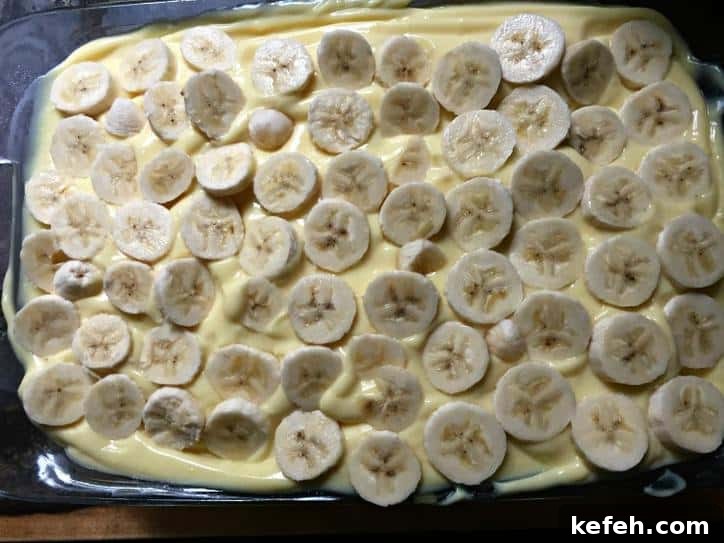 A photo of bananas cut into disk shapes spread out onto the cake with pudding on top of it