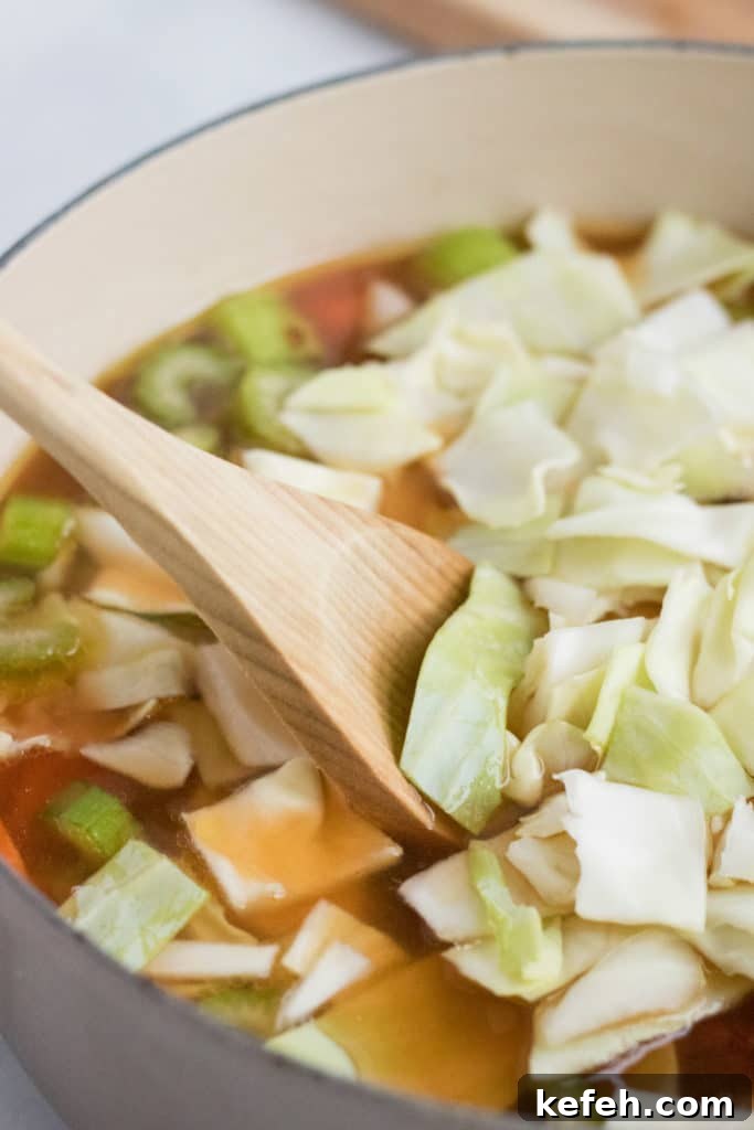 Hearty Vegan Cabbage Soup Recipe with Savory Herbs 6 img 546 5