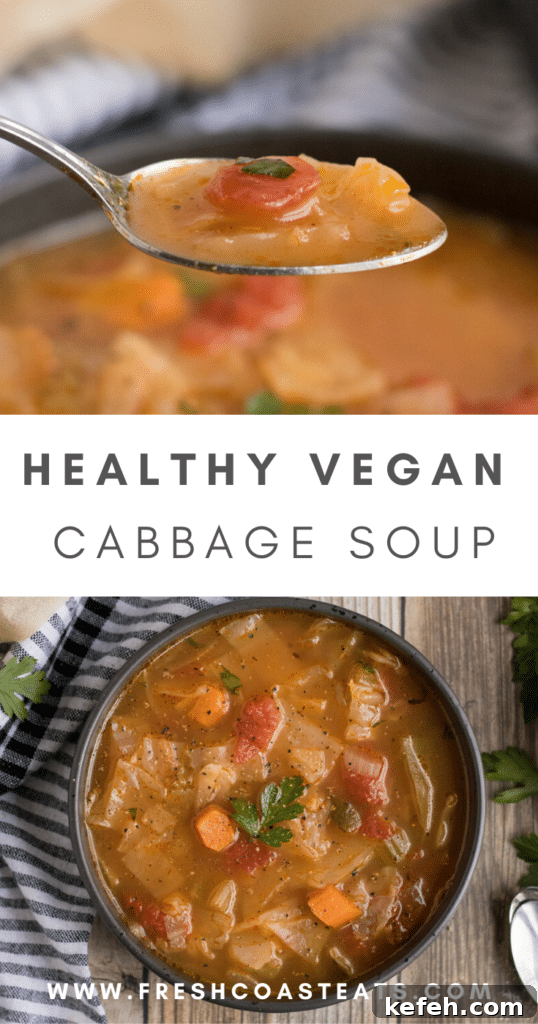 Hearty Vegan Cabbage Soup Recipe with Savory Herbs 10 cabbage soup in a black bowl with a sprig of parsley on top