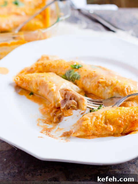 Two Bean and cheese smothered enchiladas on a white serving plate with a silver fork.