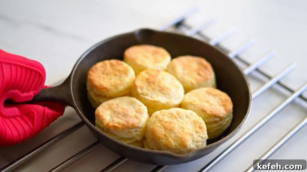 easy homemade biscuits with all purpose flour