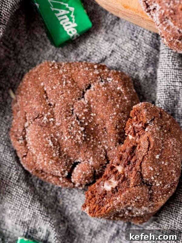 Chewy Cowboy Cookies with Oats, Chocolate & Pecans 19 A double chocolate mint cookie with a bite taken out of it.