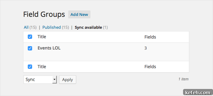 Version Control for Advanced Custom Fields: Workflow & Tips 3 img 7403 2