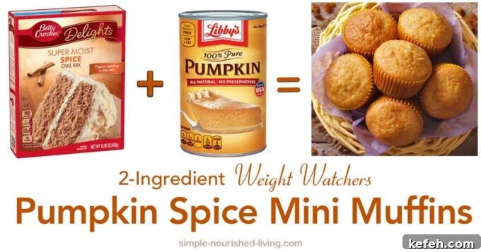 2-ingredient pumpkin spice mini muffins