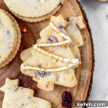 Cranberry Shortbread Cookies Recipe — Buttery Holiday Treat 11 Cranberry cookies drizzled with white chocolate.