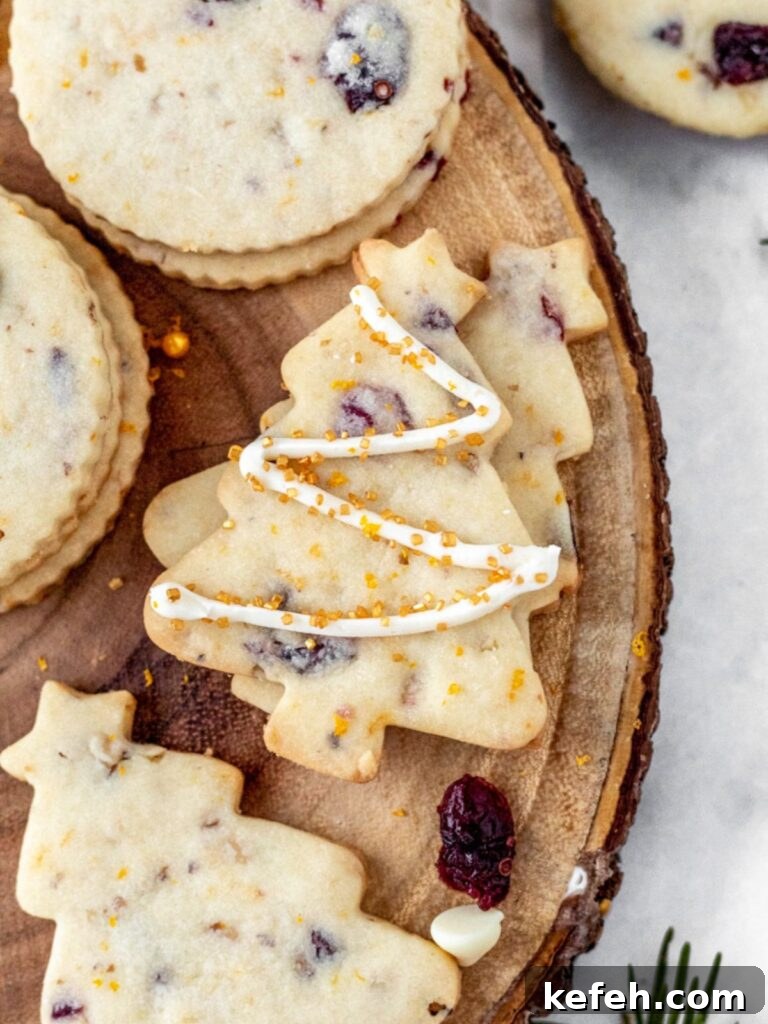 Cranberry Shortbread Cookies Recipe — Buttery Holiday Treat 10 img 7771 9
