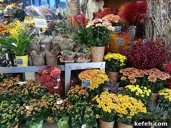 Bristol Farms Near LAX: Westchester Grocery & Specialty Market 12 Fresh Flowers at Bristol Farms - Los Angeles, California