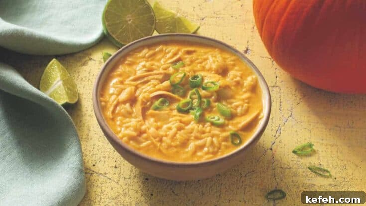 Image for Turkey Pumpkin Curry Soup with Rice