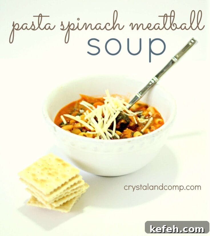 Image for Pasta Spinach Meatball Soup