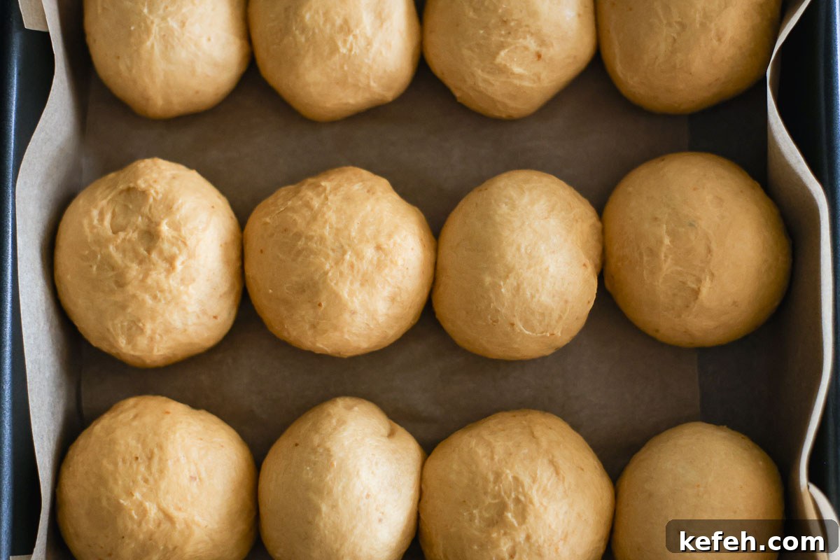 Dough buns in a lined baking pan.