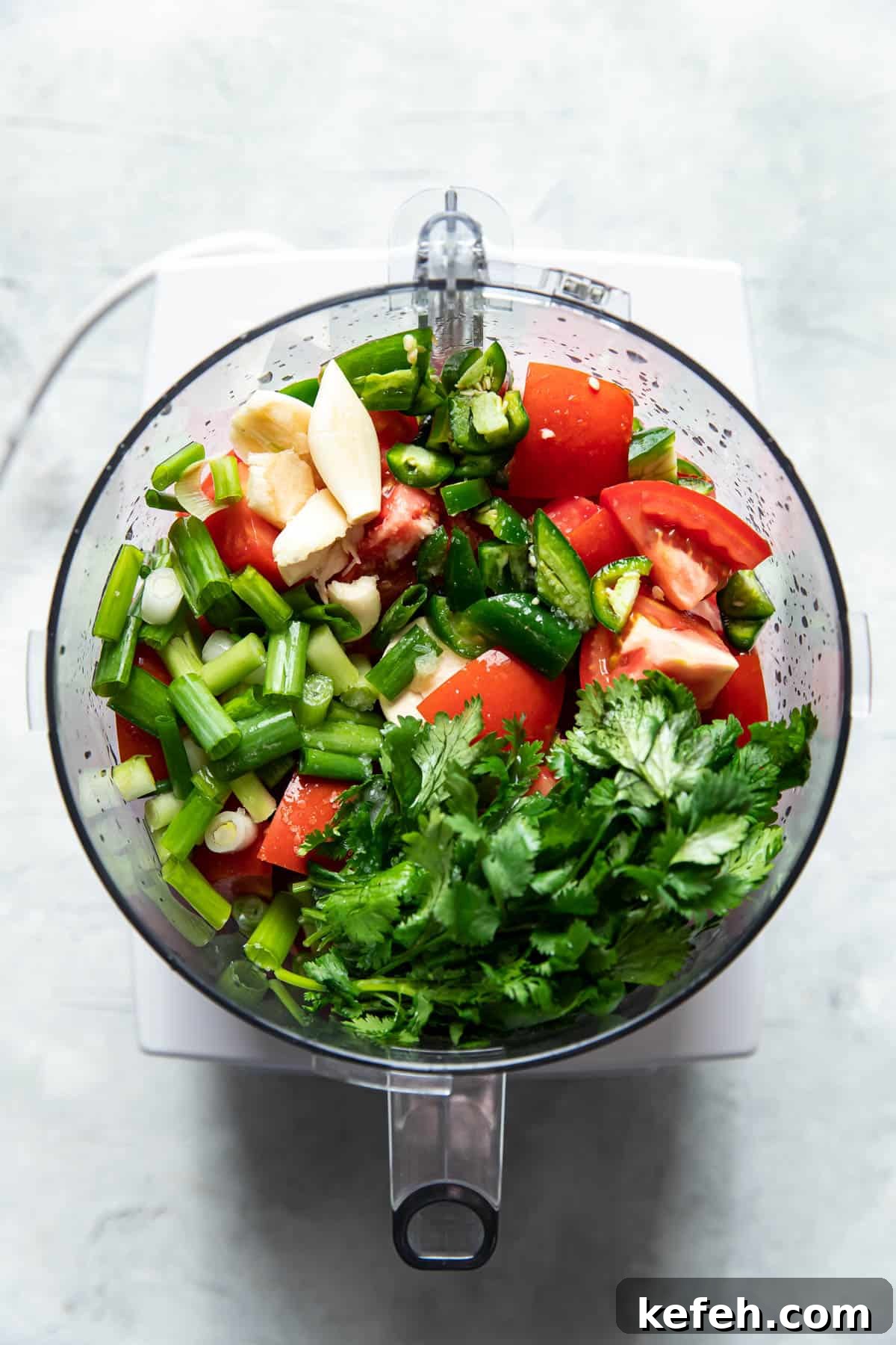 salsa fresca in a food processor.