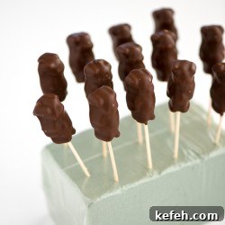 Chocolate Covererd Gummy Bears