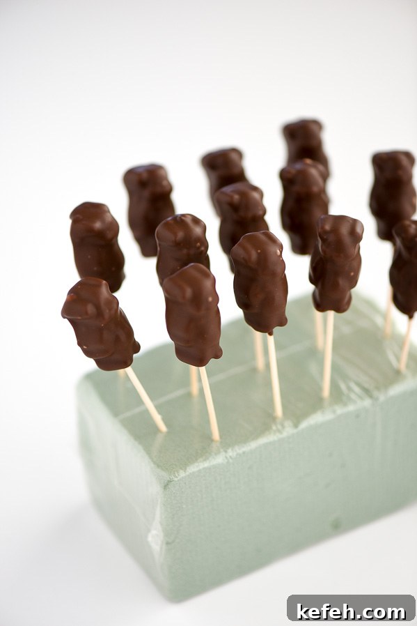 Chocolate Covererd Gummy Bears